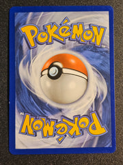 Pokemon TCG - Mega Camerupt EX XY198