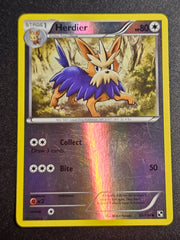 Pokemon TCG - Herdier 82/114 Reverse Holo Black & White