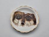 Pekingese Vintage Collectable Plate Bone China Argyle