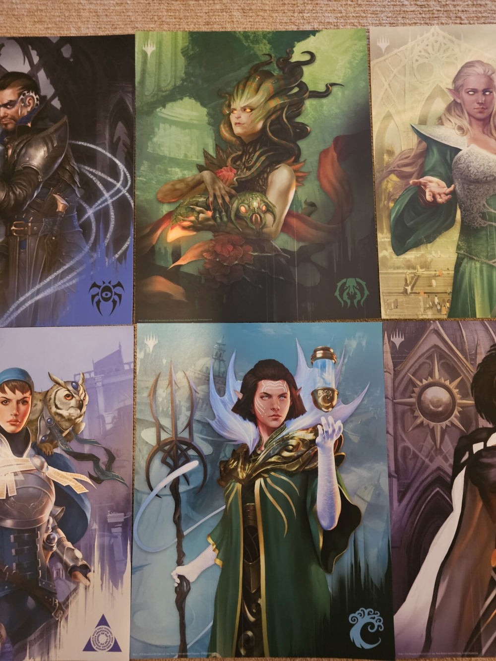 Image #3