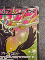 Pokemon TCG - Xerneas EX 012/023