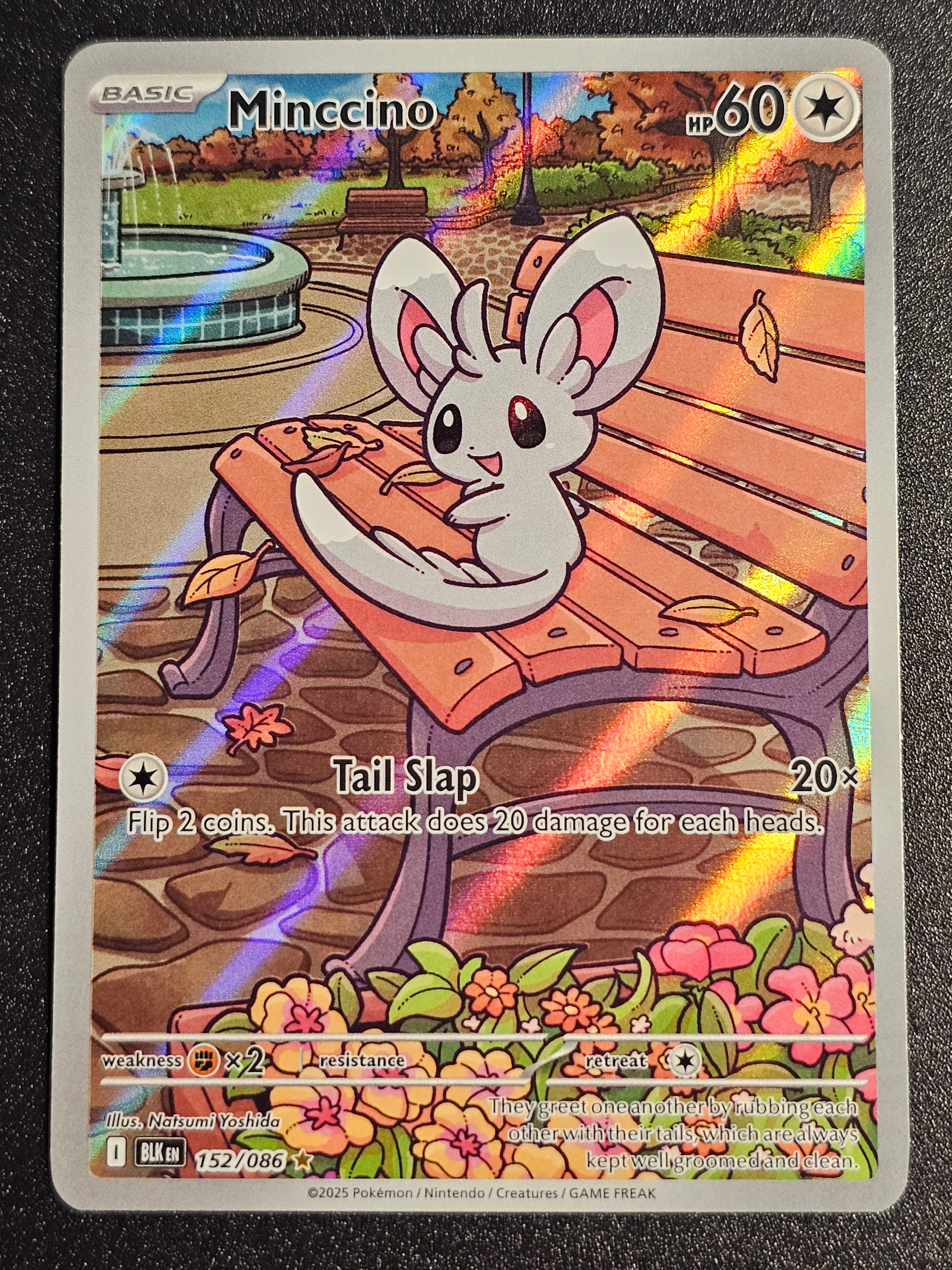 Pokemon TCG - Minccino 152/086 Black Bolt