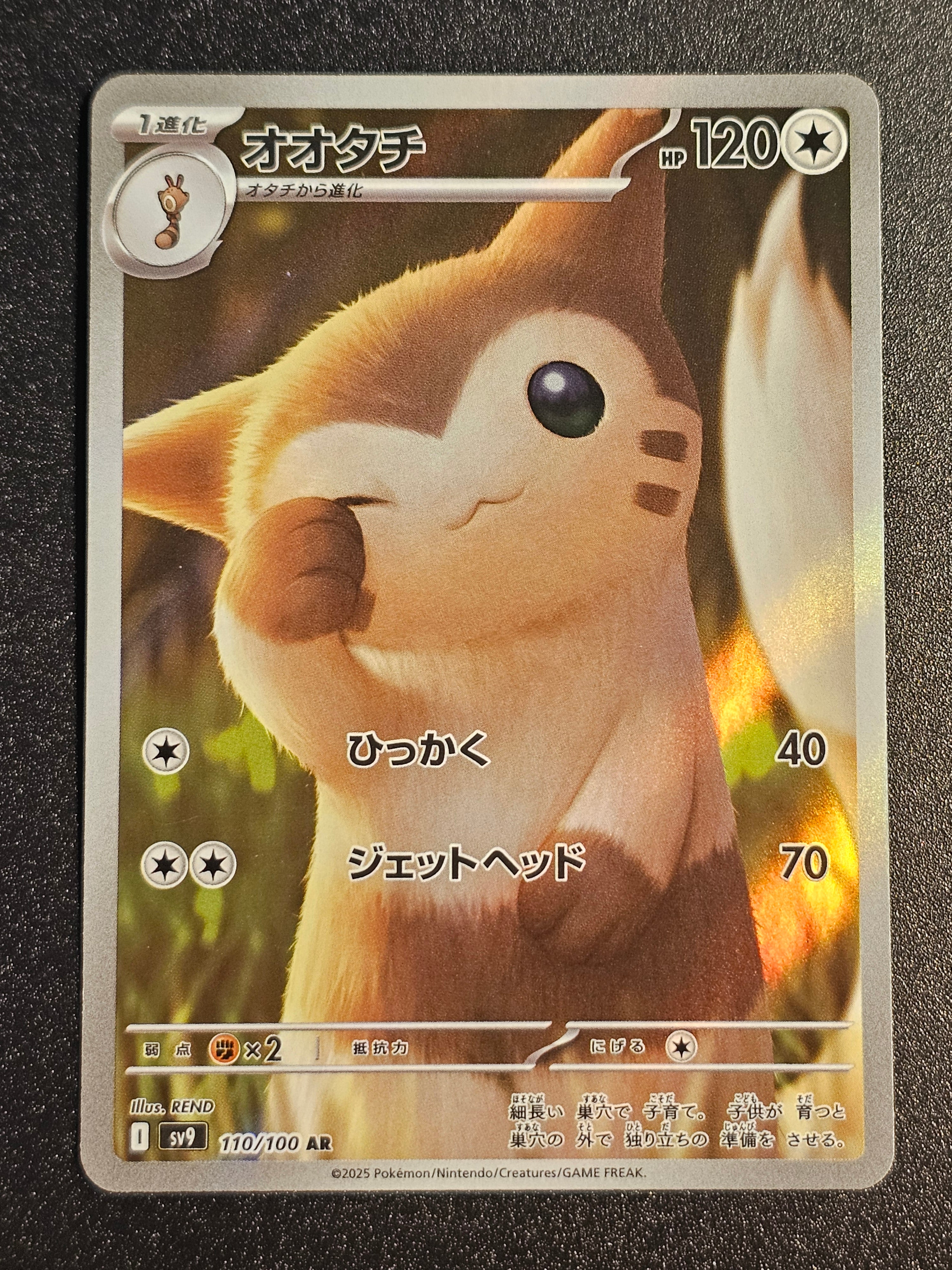 Pokemon TCG - Furret 110/100 AR