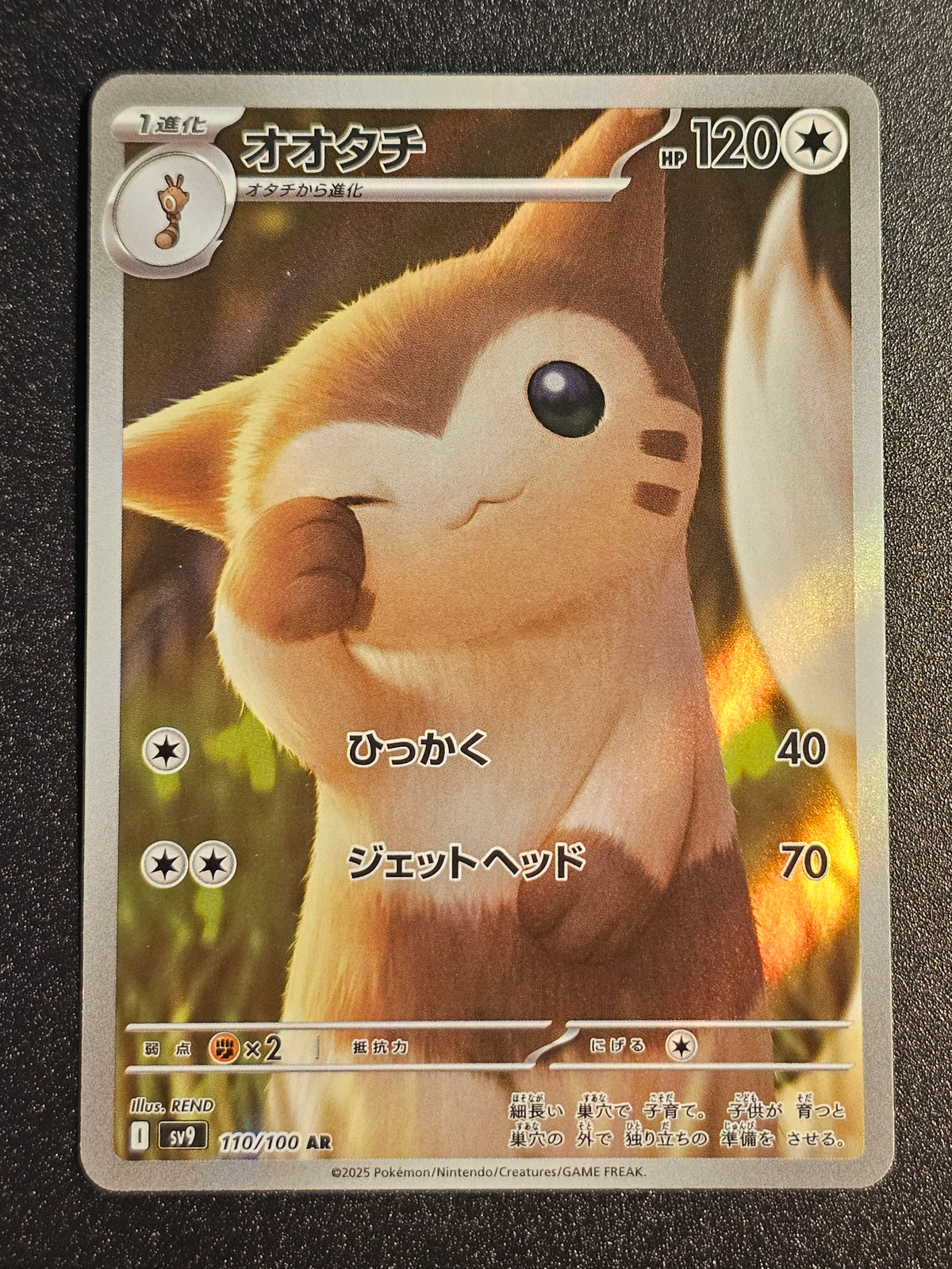 Pokemon TCG - Furret 110/100 AR