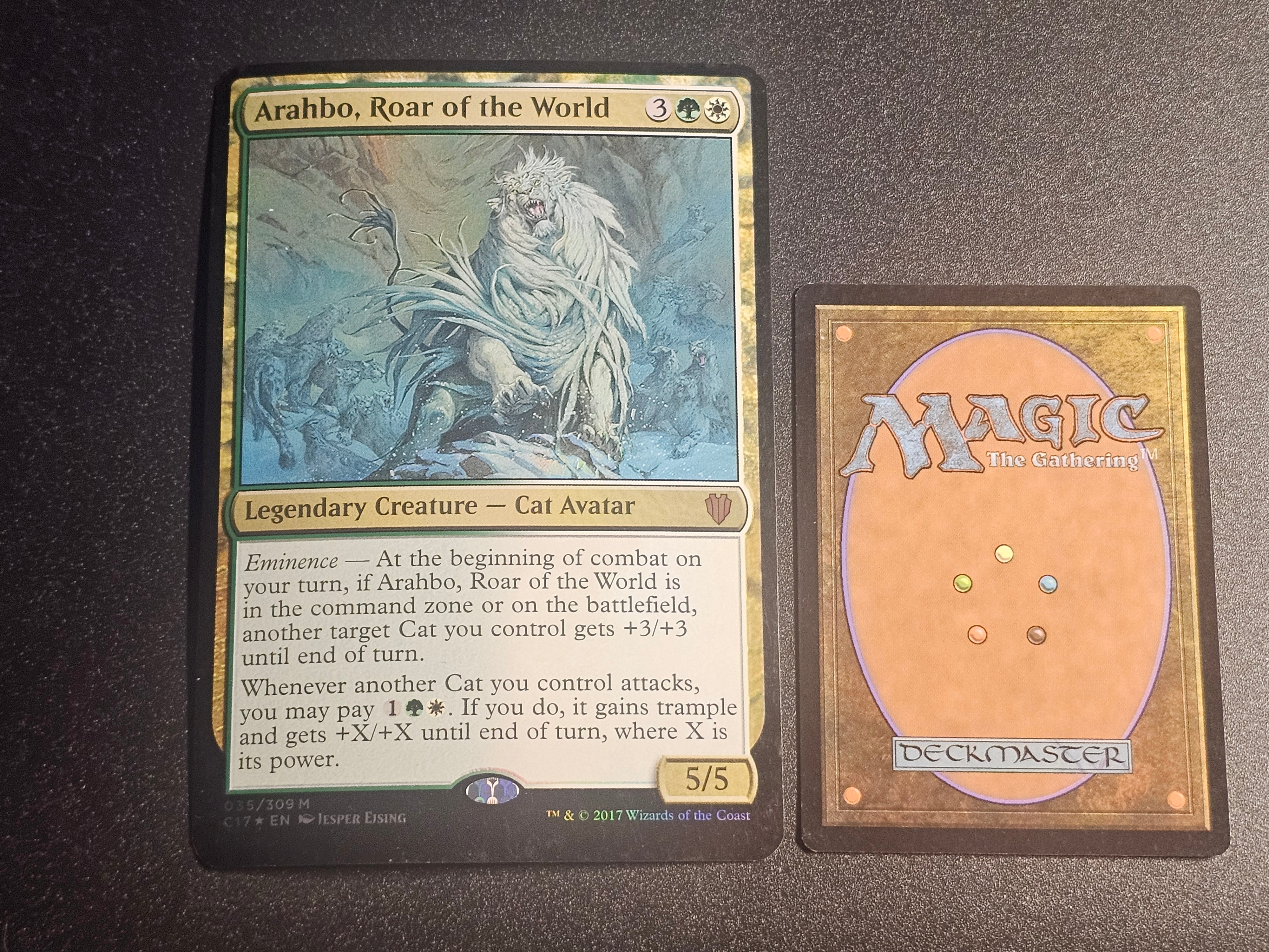MTG - Arahbo, Roar of the World C17 Oversized