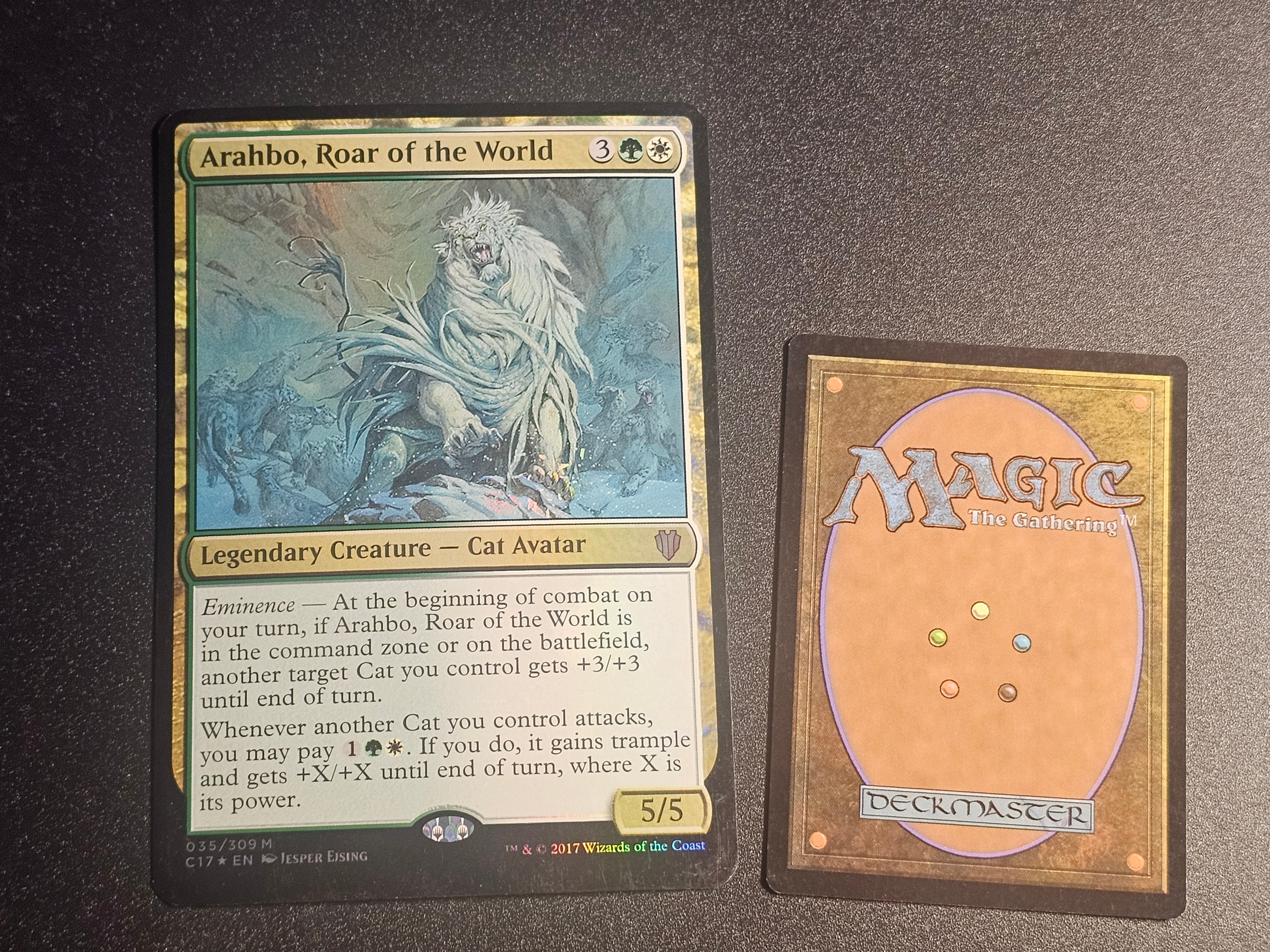 MTG - Arahbo, Roar of the World C17 Oversized