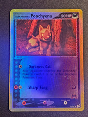 Pokemon TCG - Team Magma's Poochyena HOLO 66/95