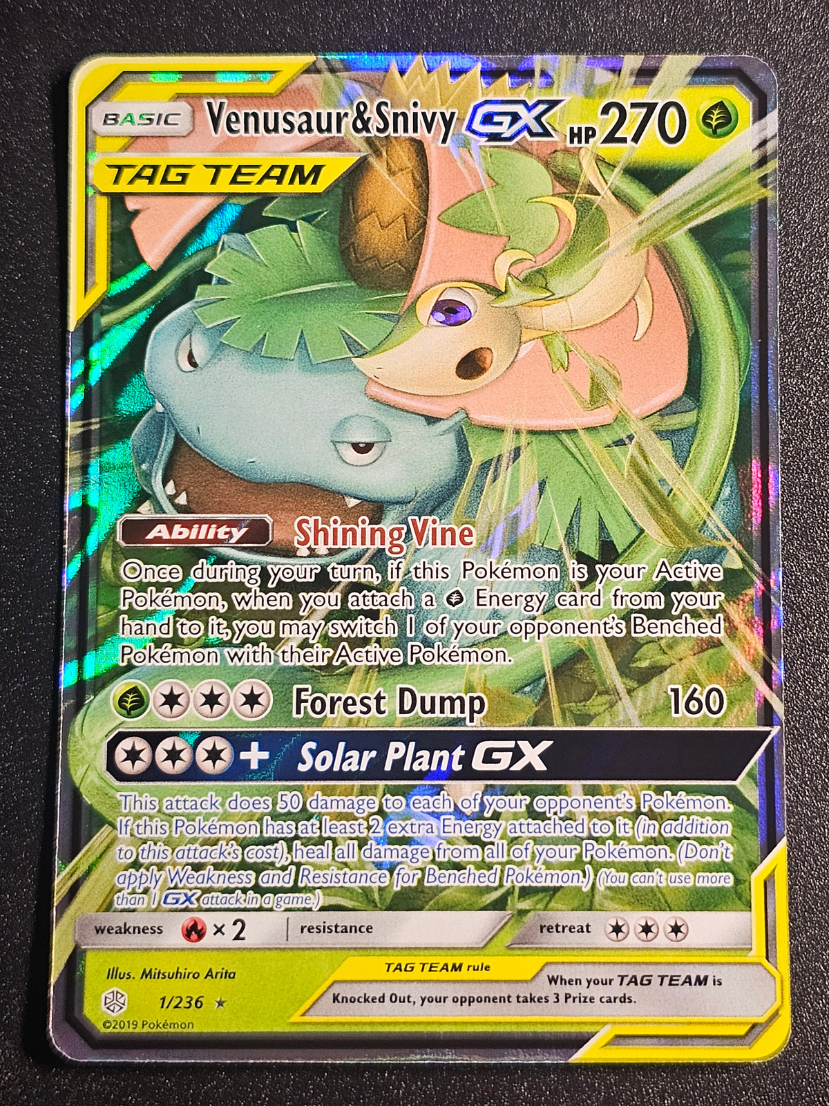 Pokemon TCG - Venusaur & Snivy GX 1/236