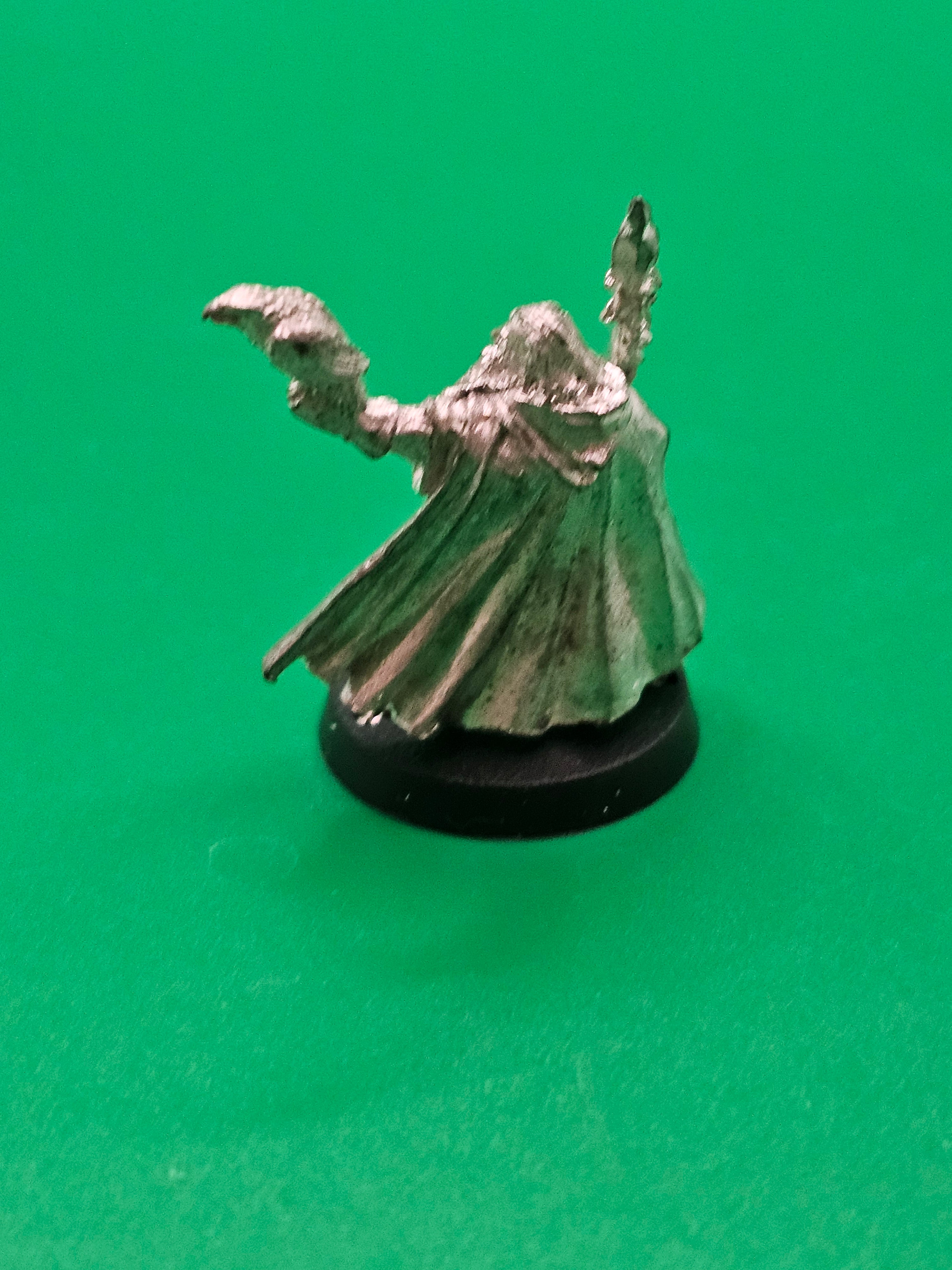 Warhammer Lord of the Rings - Radagast the Brown
