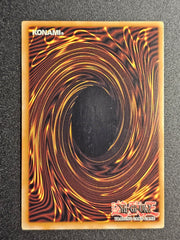 Yugioh - Trident Dragion RGBT-EN043 1st Edition
