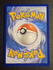 Pokemon TCG - Leafy Camo Poncho 214/195 Silver Tempest