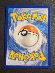 Pokemon TCG - Stormy Mountains 232/203 Evolving Skies