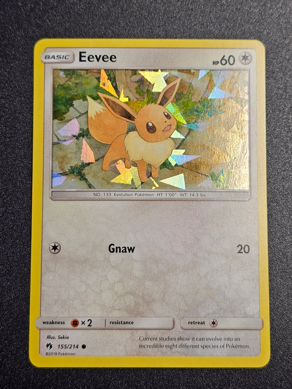 Pokemon TCG - Eevee 155/214 lost Thunder Holo