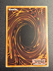 Yugioh - Red Rose Dragon LED4-EN025