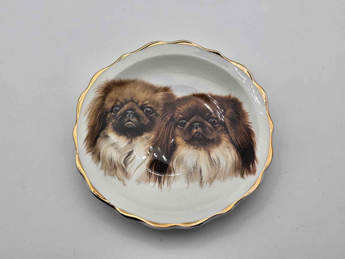 Pekingese Vintage Collectable Plate Bone China Argyle