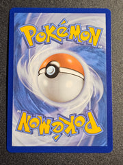Pokemon TCG -  V Guard Energy 215/195 Silver Tempest