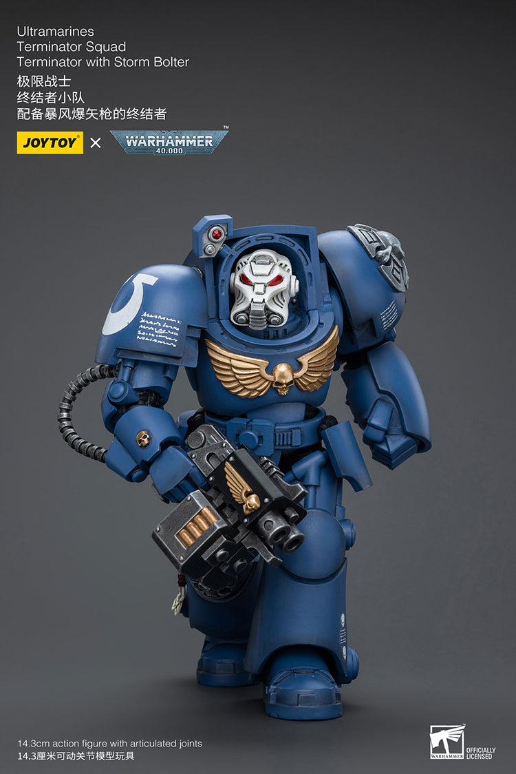 Warhammer Joytoy  Ultramarines Terminator with Storm Bolter