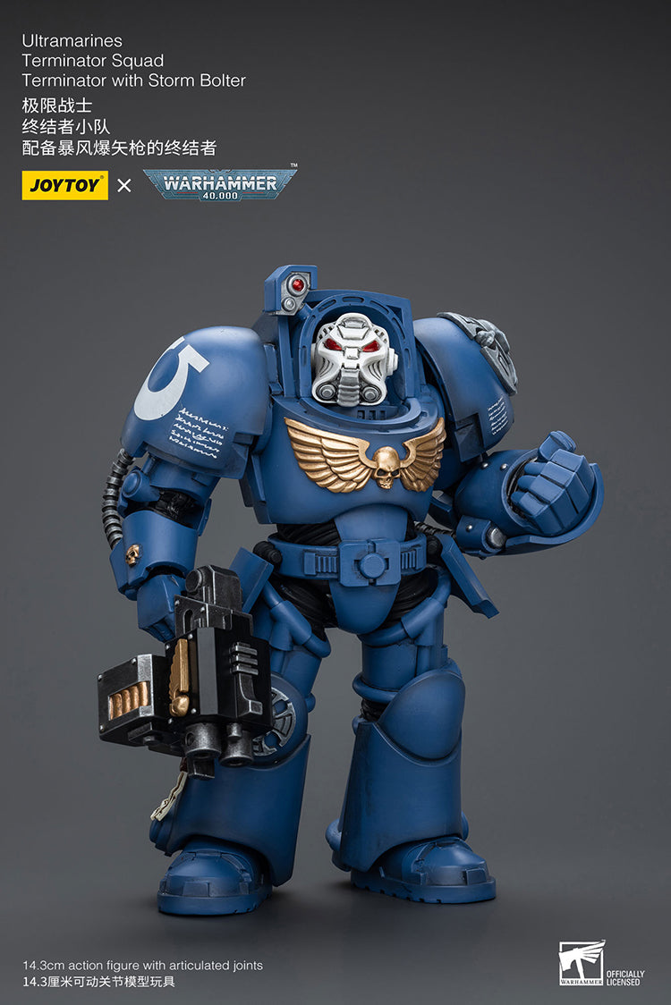 Warhammer Joytoy  Ultramarines Terminator with Storm Bolter
