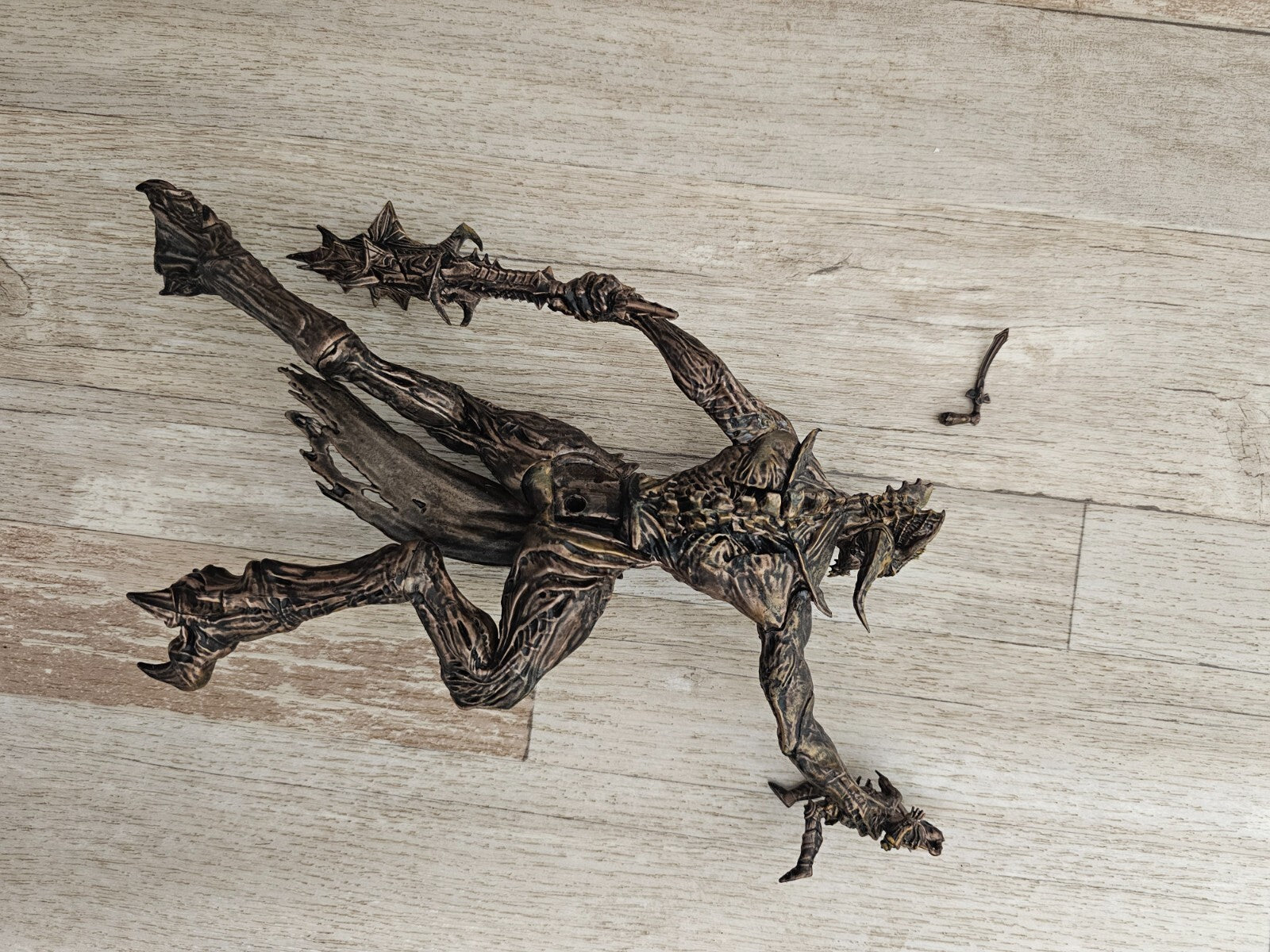 Image #12