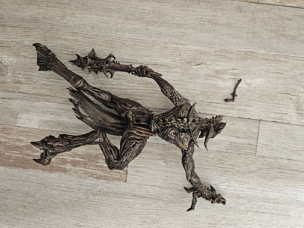 Image #12