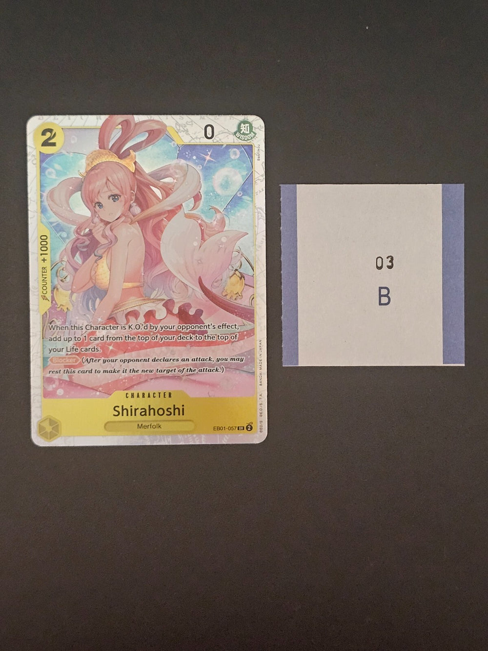 Image #2